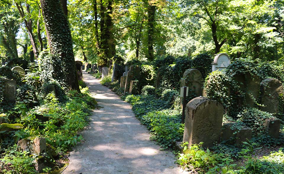 Jewish cemetery in Krakow